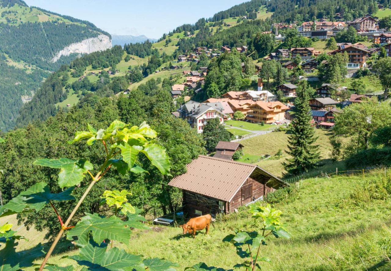 Panoramapark Soleil Chalet E 翁根 外观 照片