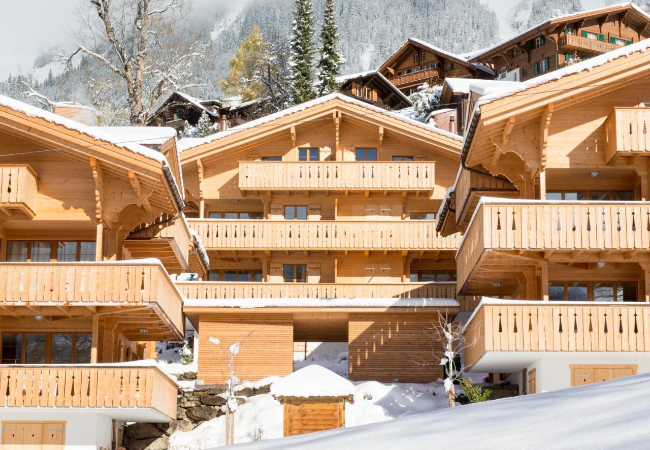 Panoramapark Soleil Chalet E 翁根 外观 照片