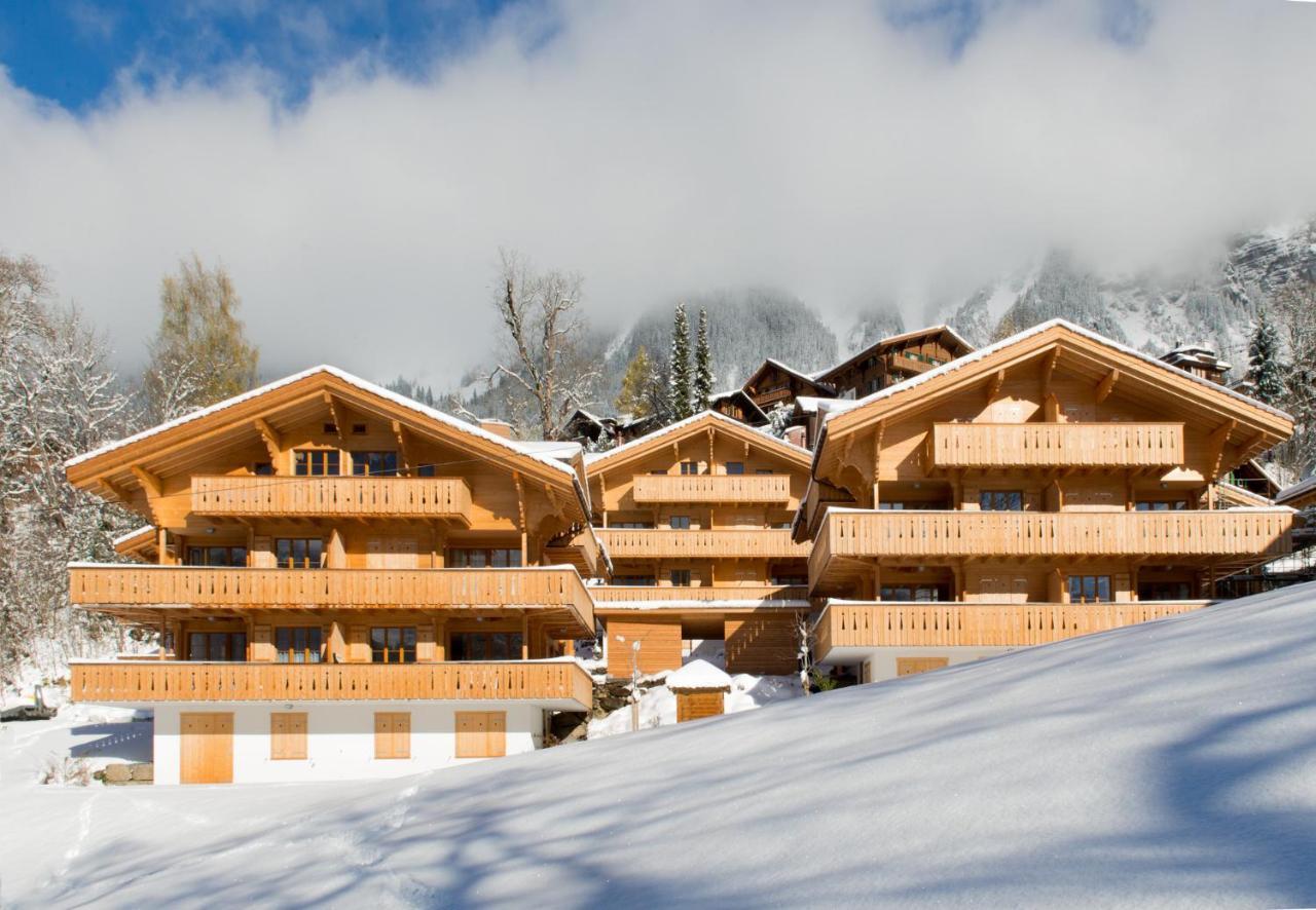 Panoramapark Soleil Chalet E 翁根 外观 照片